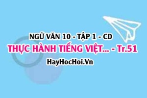 Soạn bài Thực hành tiếng Việt trang 51 lớp 10 Cánh Diều tập 1